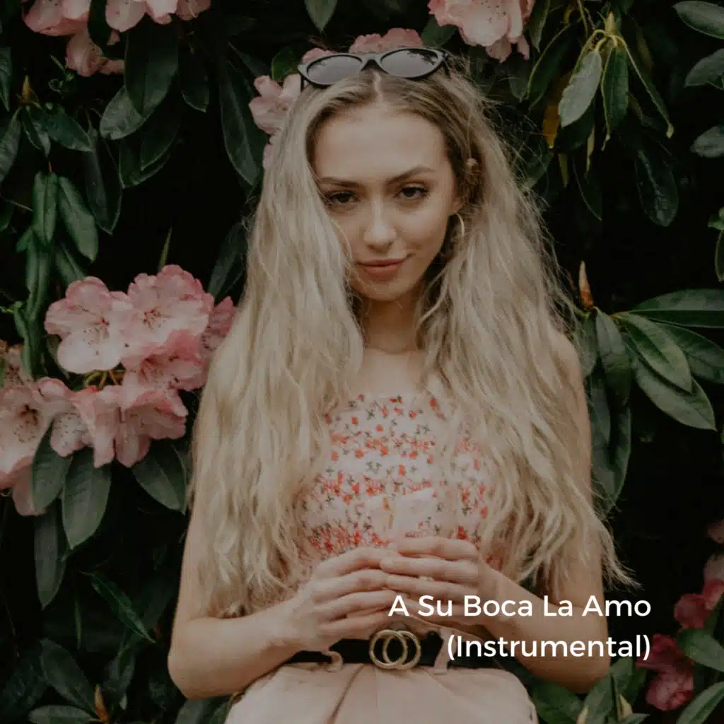 A Su Boca La Amo (Instrumental)