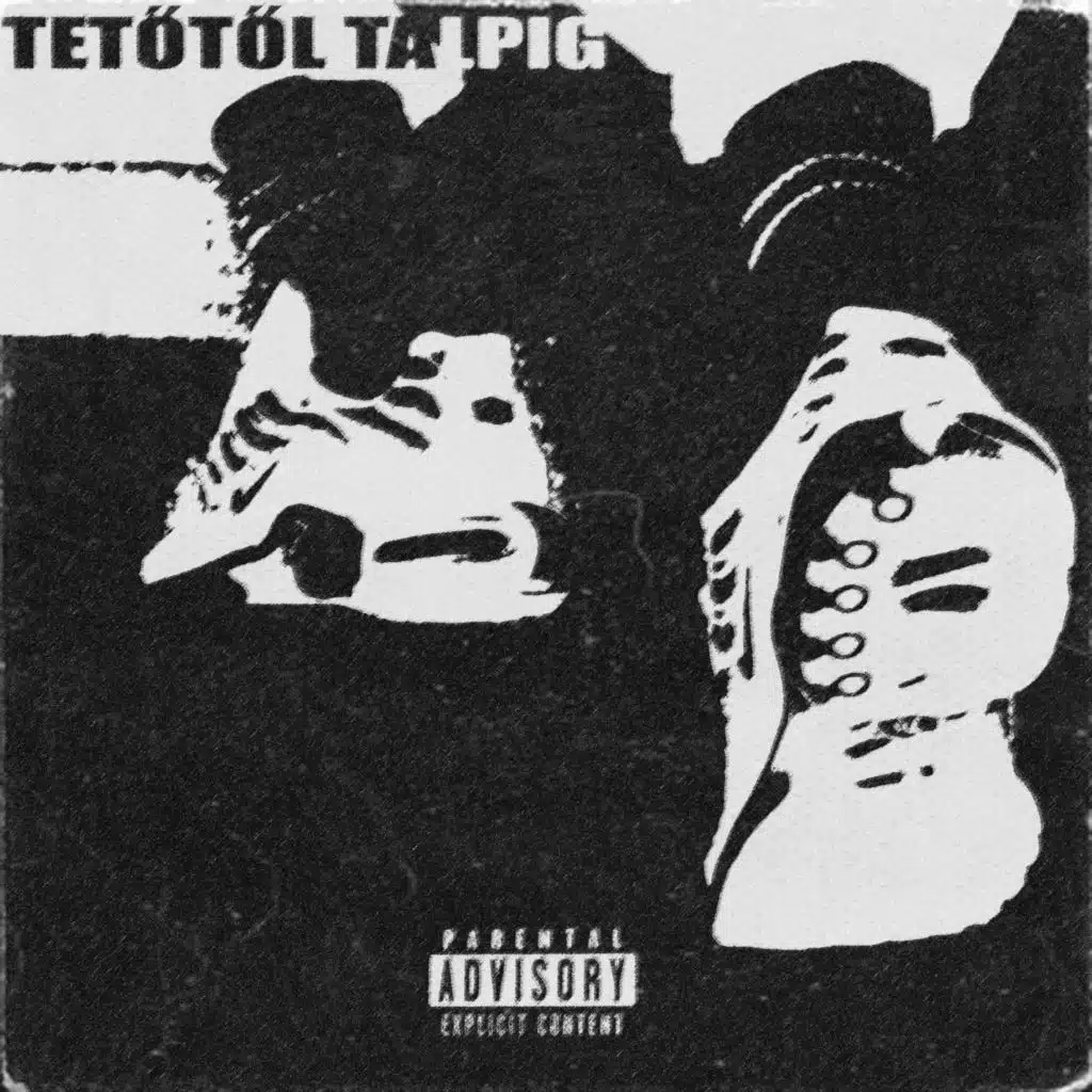 TETŐTŐL TALPIG