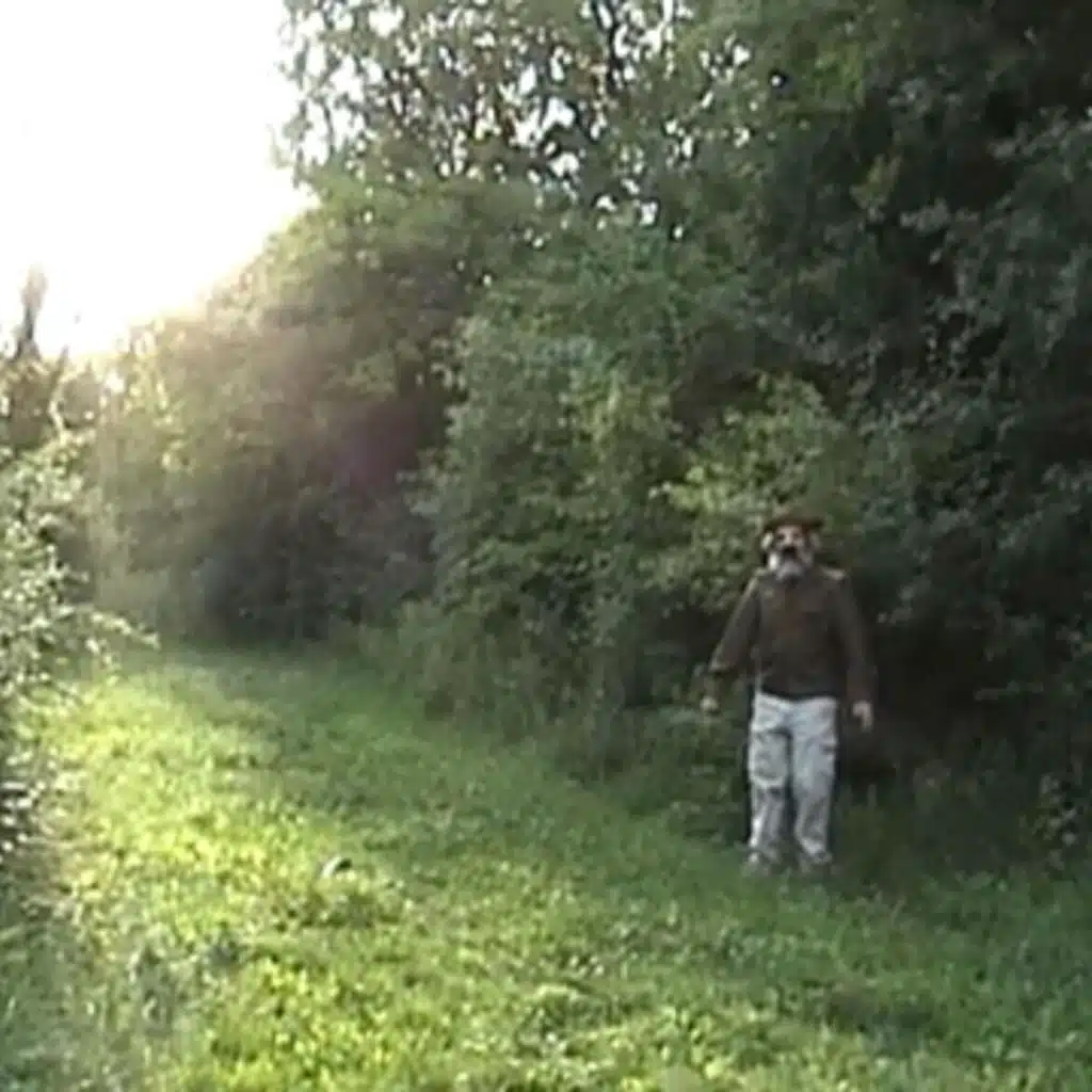 Dovetail & Rob Scallon