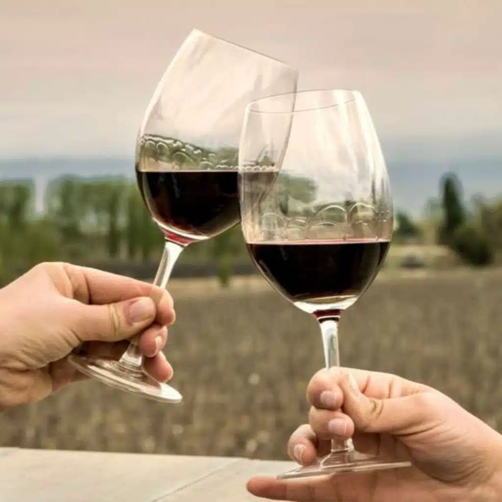 E54 - A Journey Through Argentine Flavors: The Wine