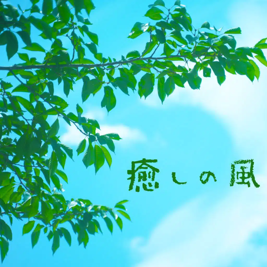 癒しの風