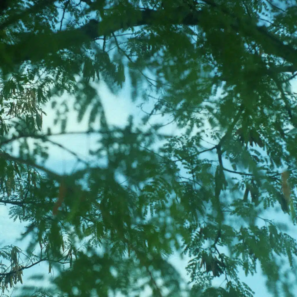 Summer Breeze (feat. Heo Ji Young)
