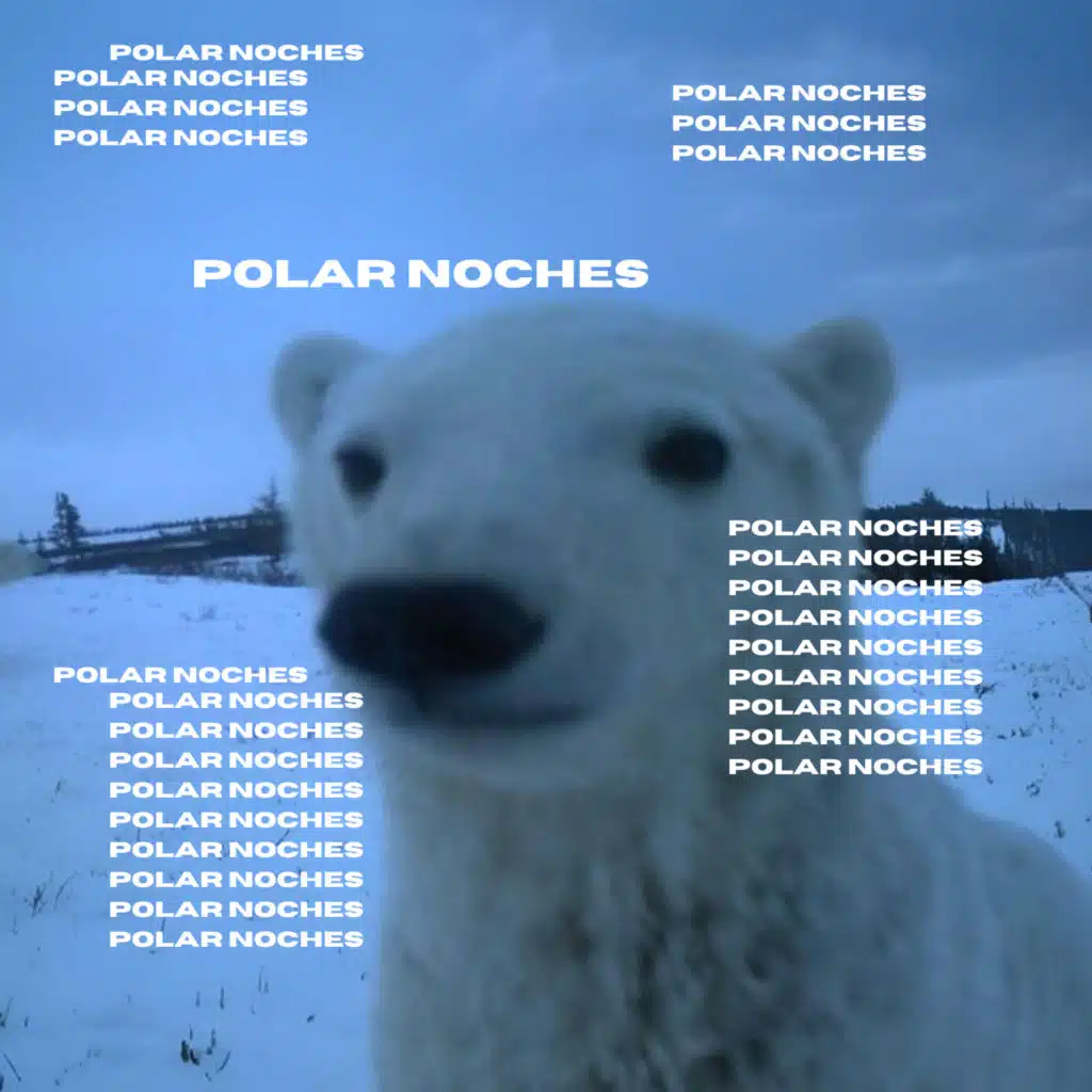 POLAR NOCHES