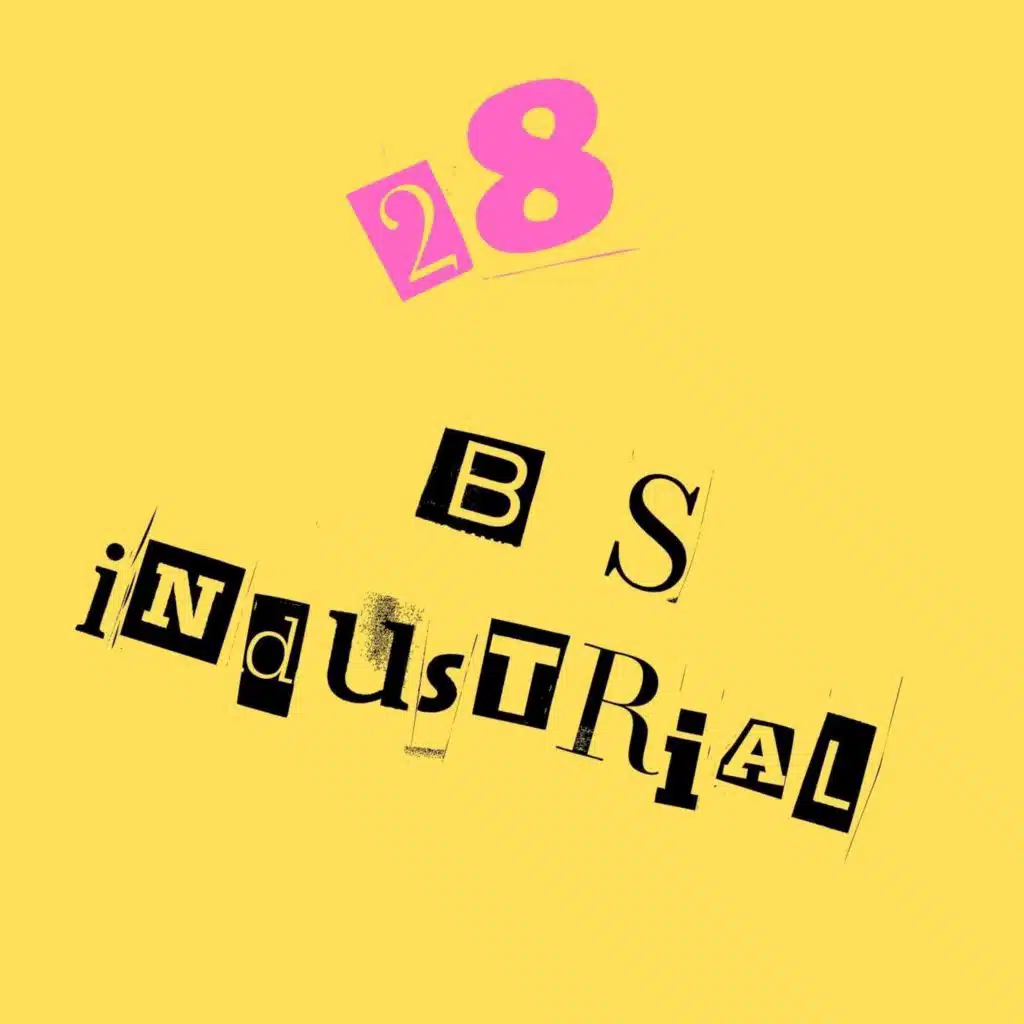 B S Industrial
