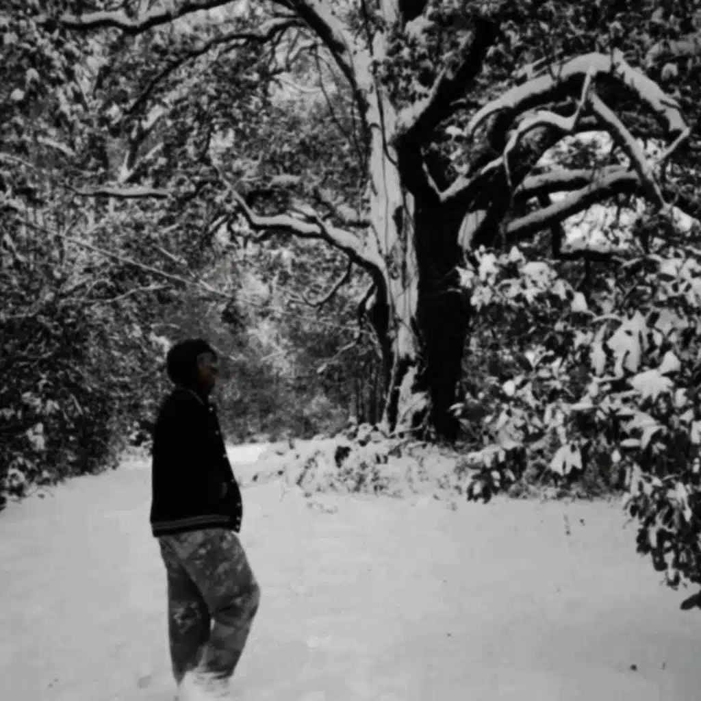 snow in the south