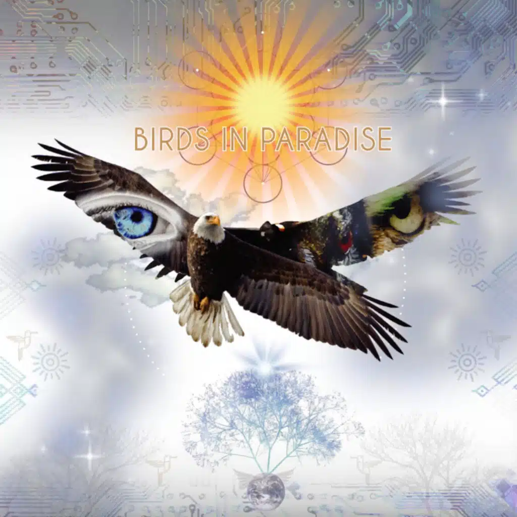 Amazonia 8 (feat. Sunny Solwind)