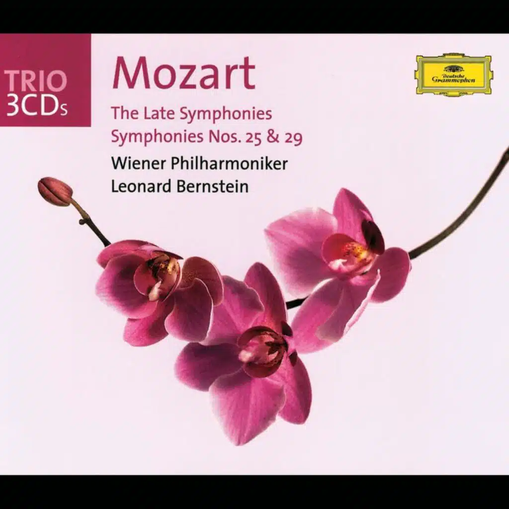 Mozart: Symphony No. 40 in G Minor, K. 550: II. Andante (Live at Musikverein, Vienna, 1984)