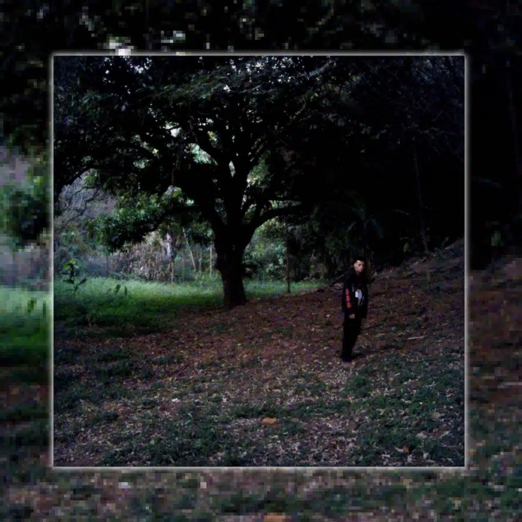 Os Perigos da Noite Andam