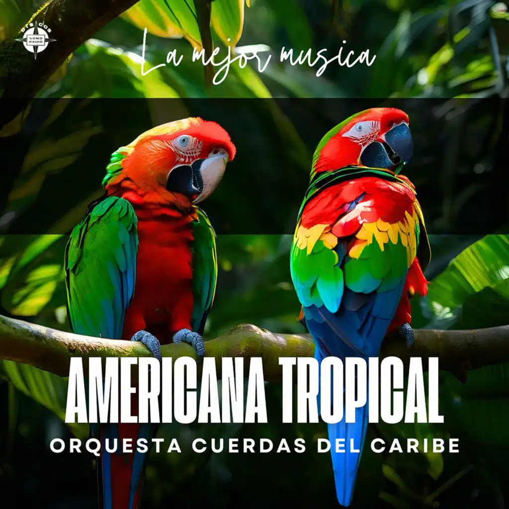 America Tropical