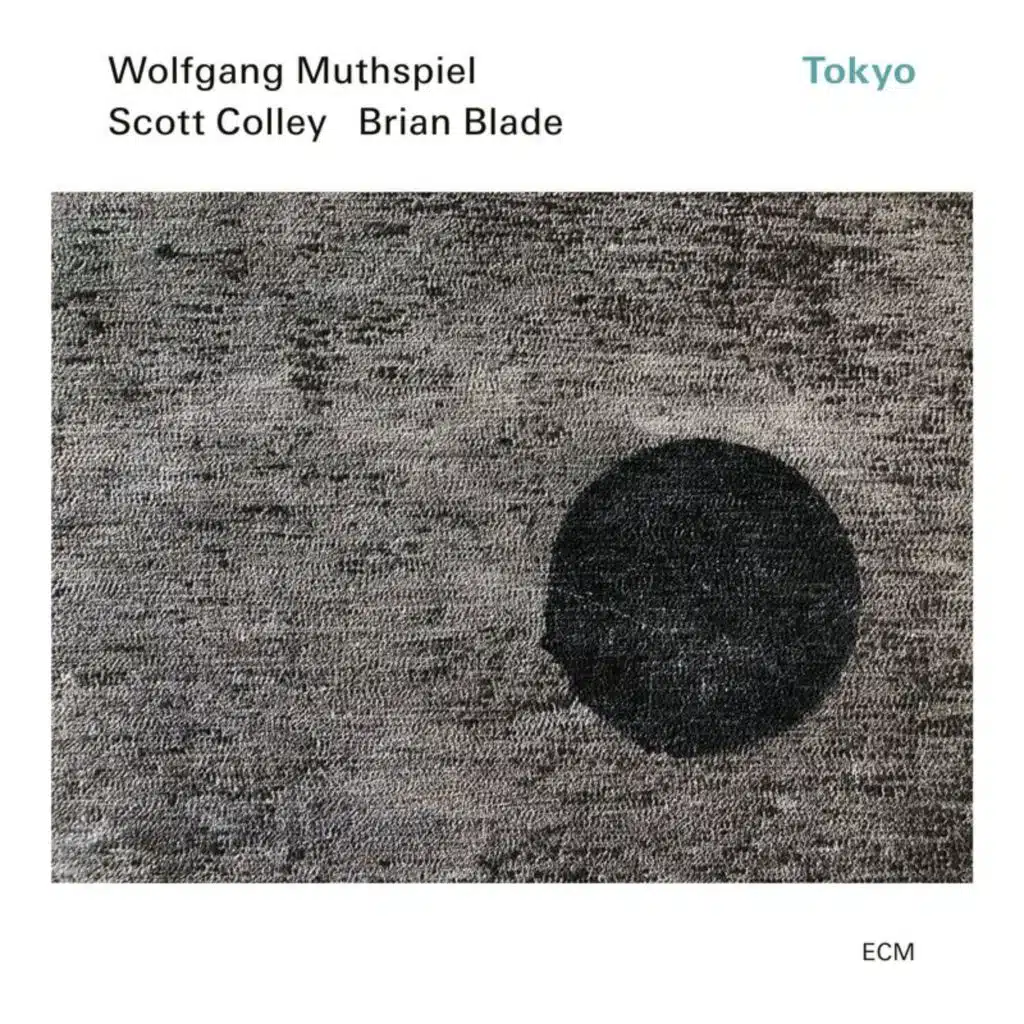Wolfgang Muthspiel, Scott Colley & Brian Blade