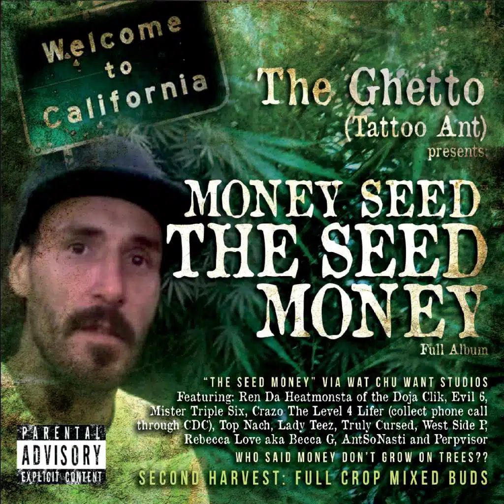Money Seed: The Seed Money