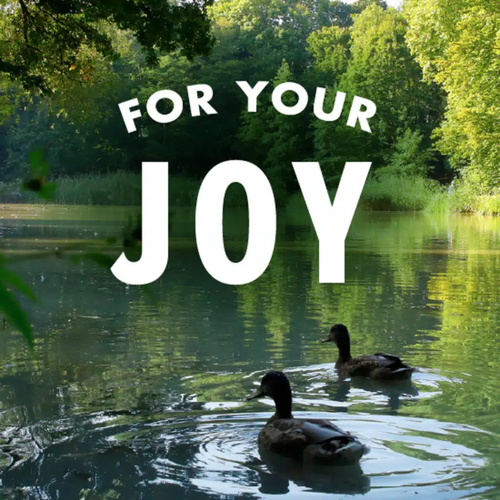 For Your Joy