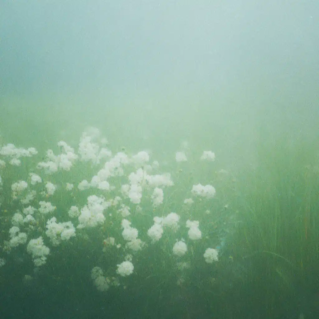 The Feeling of Being Alive