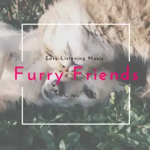 Furry Friends - Easy-Listening Music For Pets