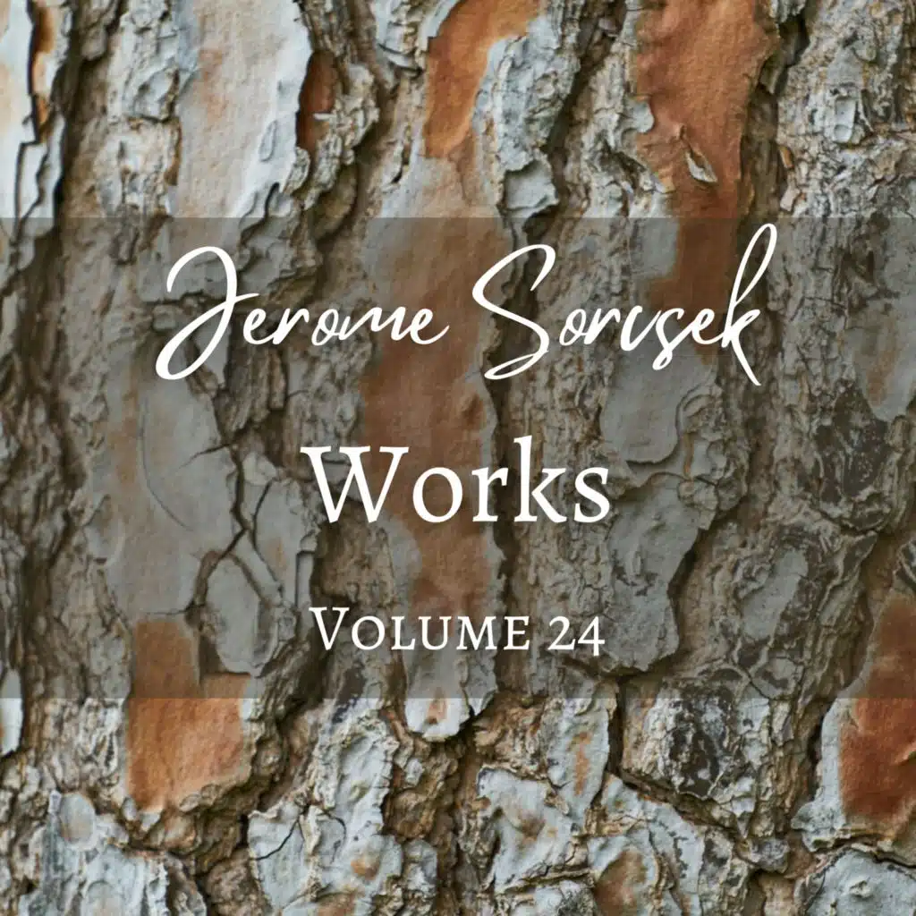 Jerome Sorcsek, Works, Vol. 24