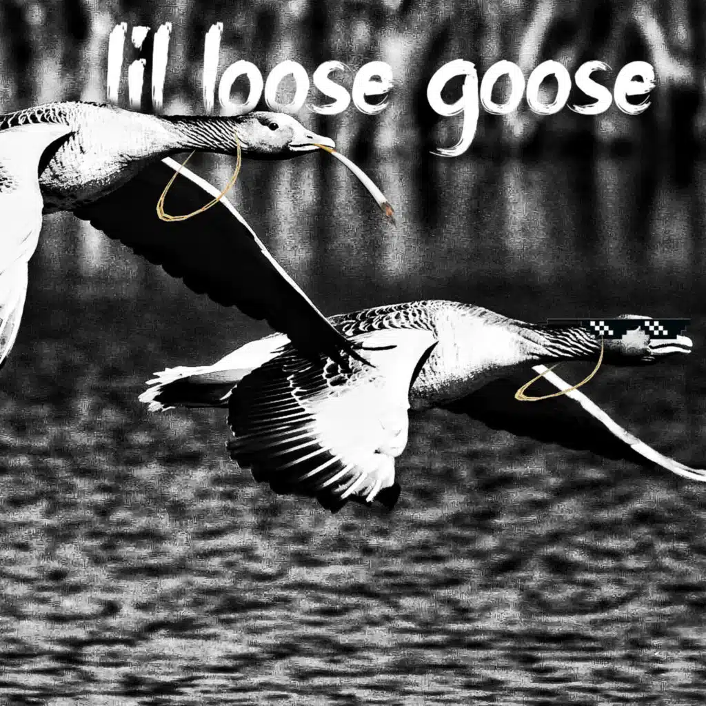 Lil Loose Goose