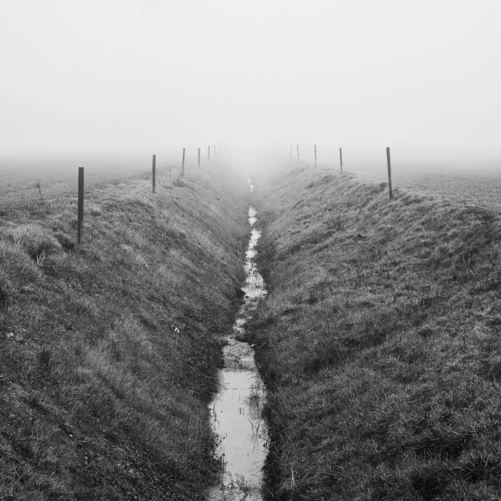 The Attention Industry