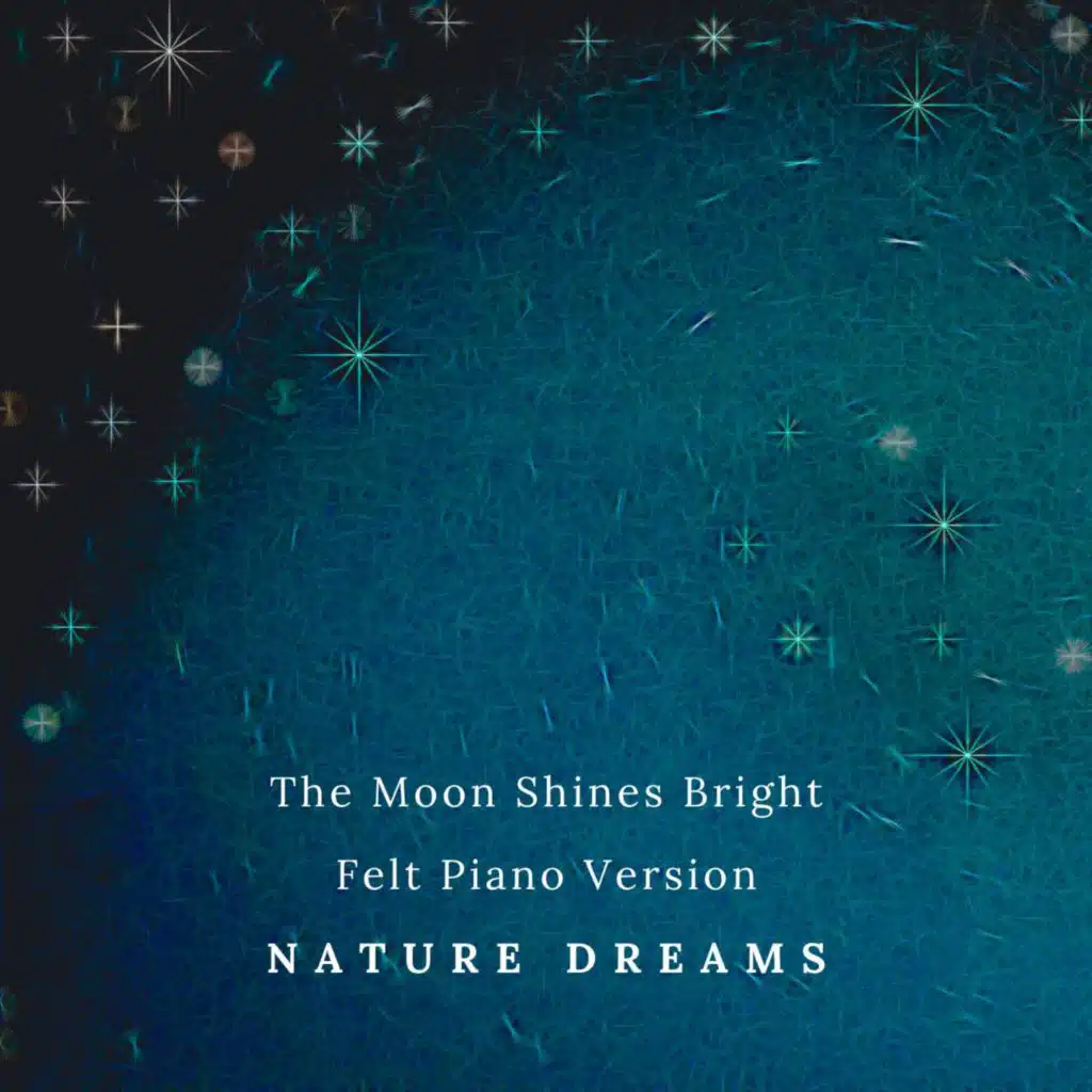 The Moon Shines Bright (Felt Piano Version)