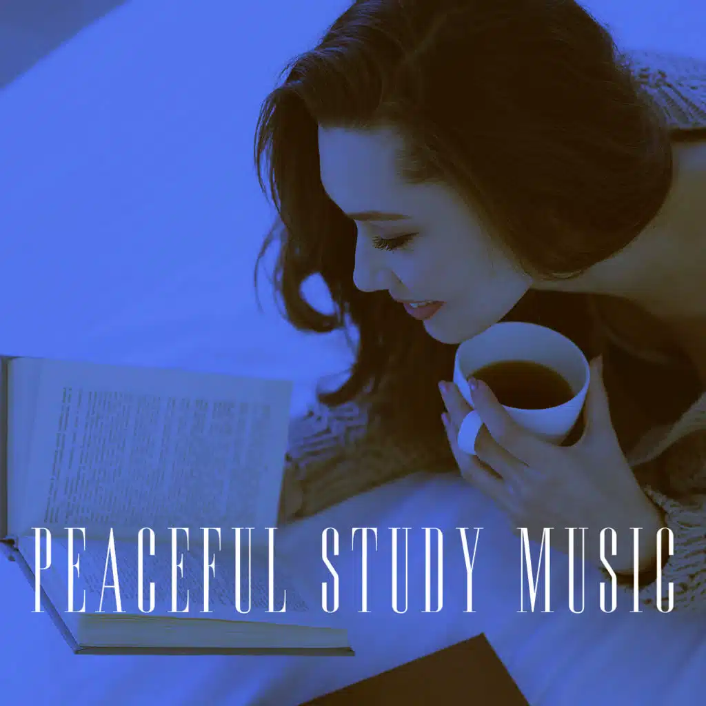 Flute Quartet No. 1 Adagio