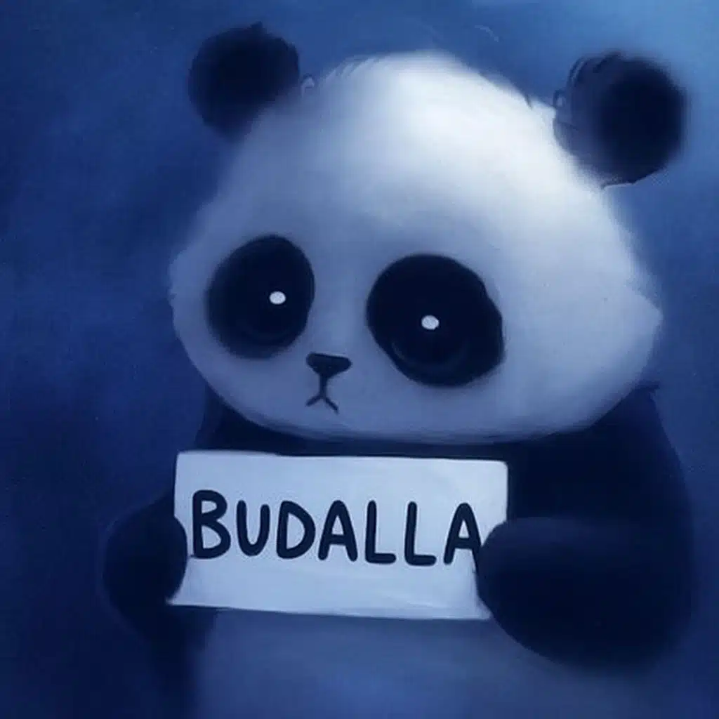 BUDALLA (feat. Idriz Budalla)