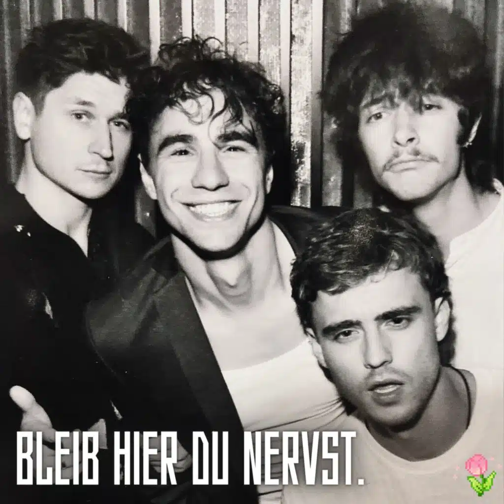 BLEIB HIER DU NERVST.