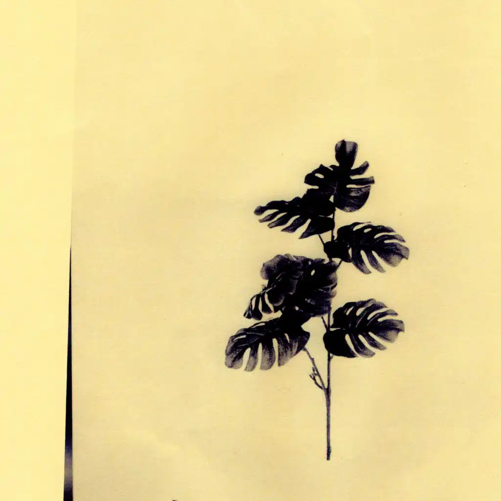 Continuing A Worn Out Tradition II