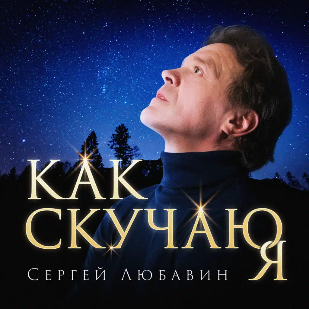 Сергей Любавин