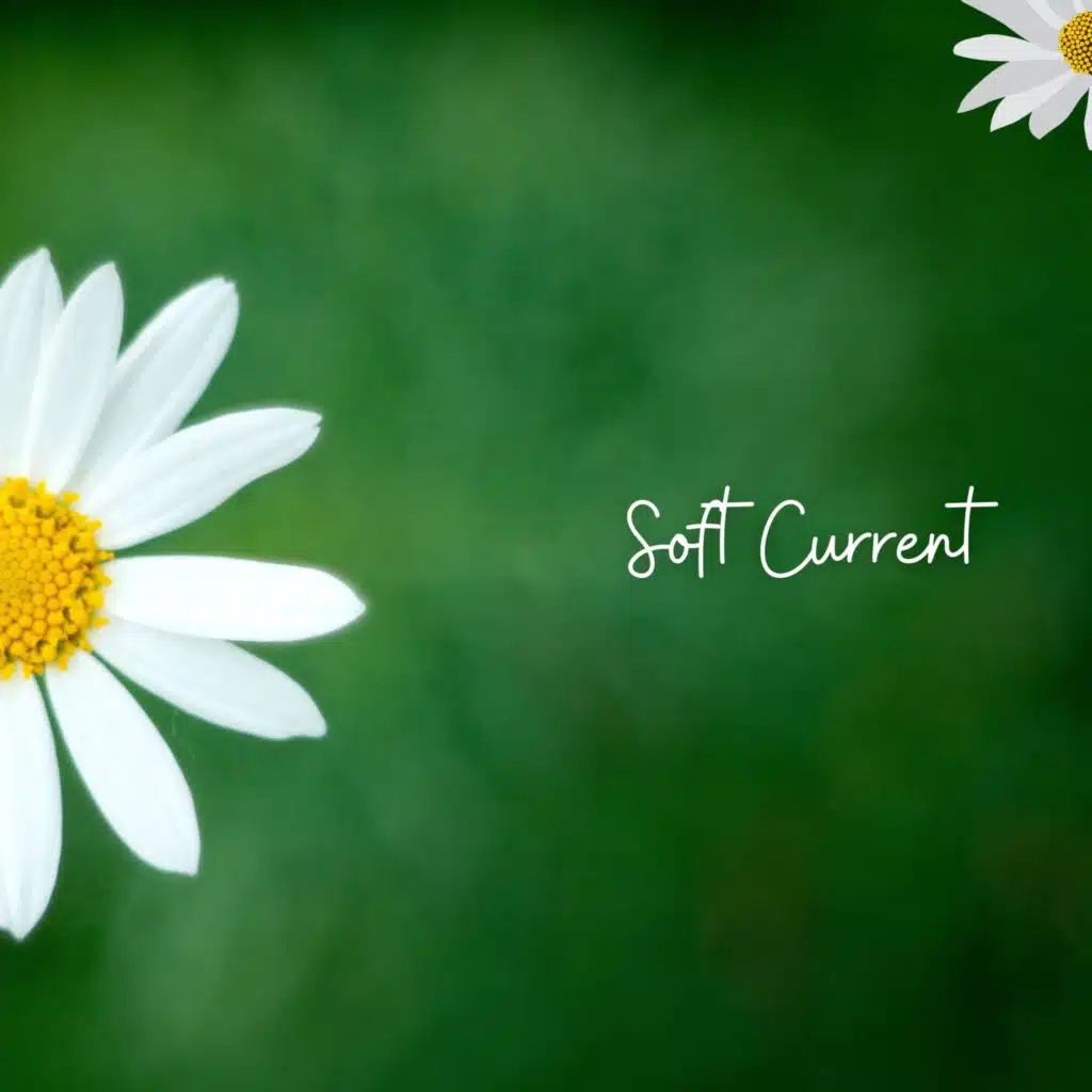Soft Current
