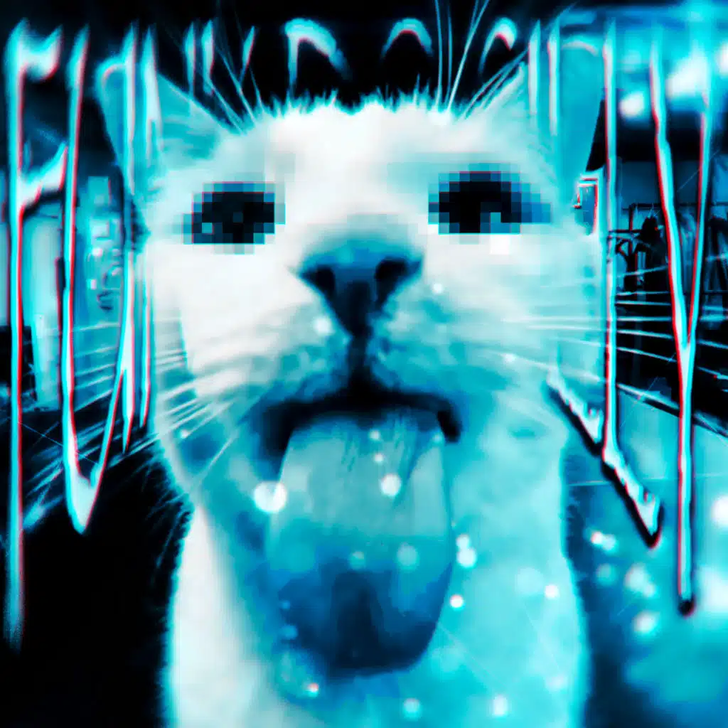 FUNK DO SILLY