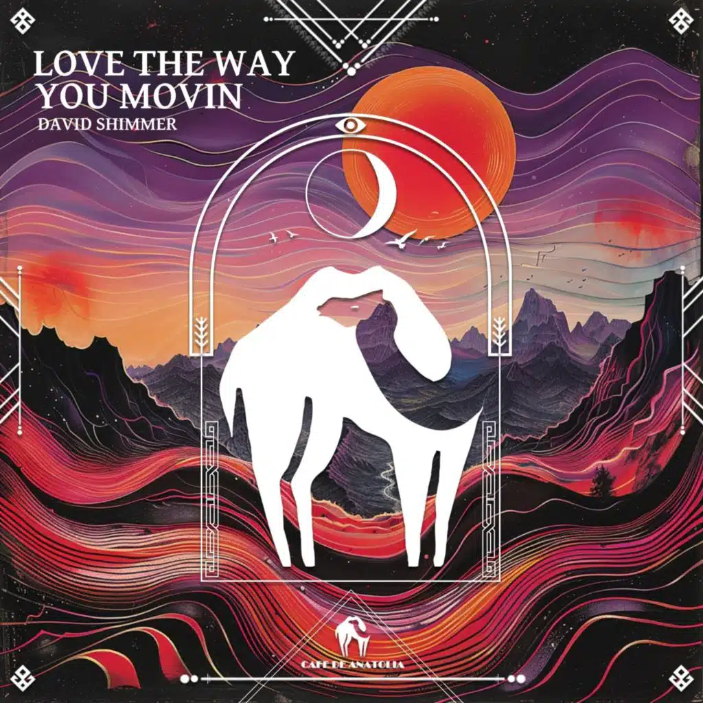 David Shimmer & Cafe De Anatolia