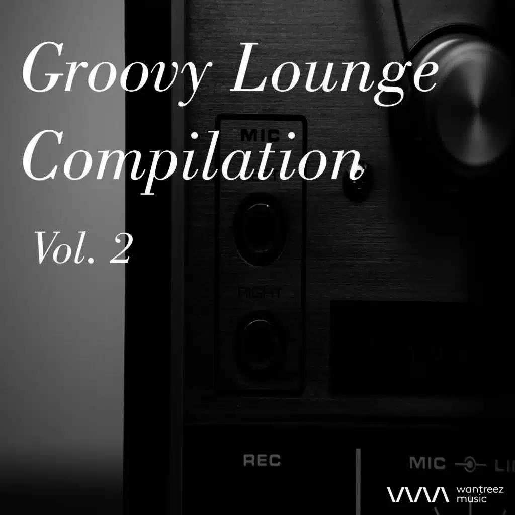 Groovy Lounge Compilation Vol.2