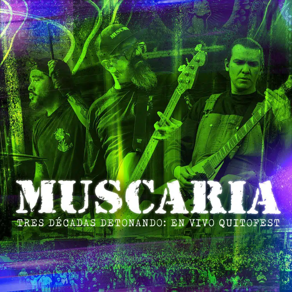 Muscaria