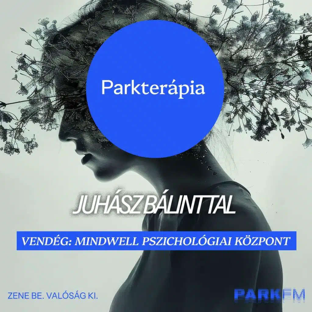A social media veszélyei - Mindwell | Park FM Parkterápia Juhász Bálinttal