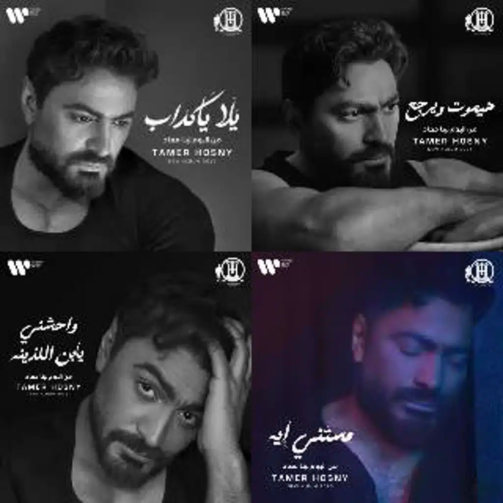 تامر حسني ٢