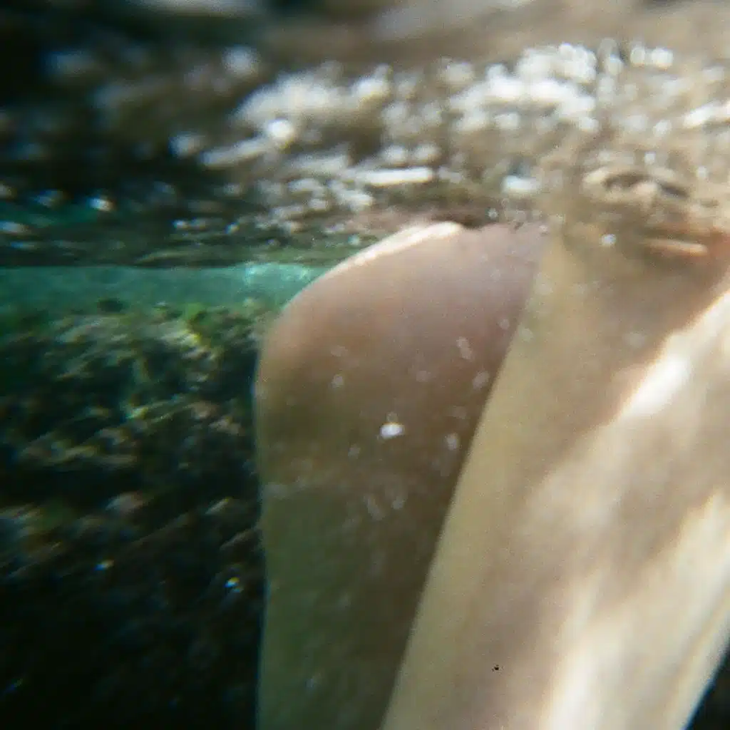 Silicon Valley Mermaids