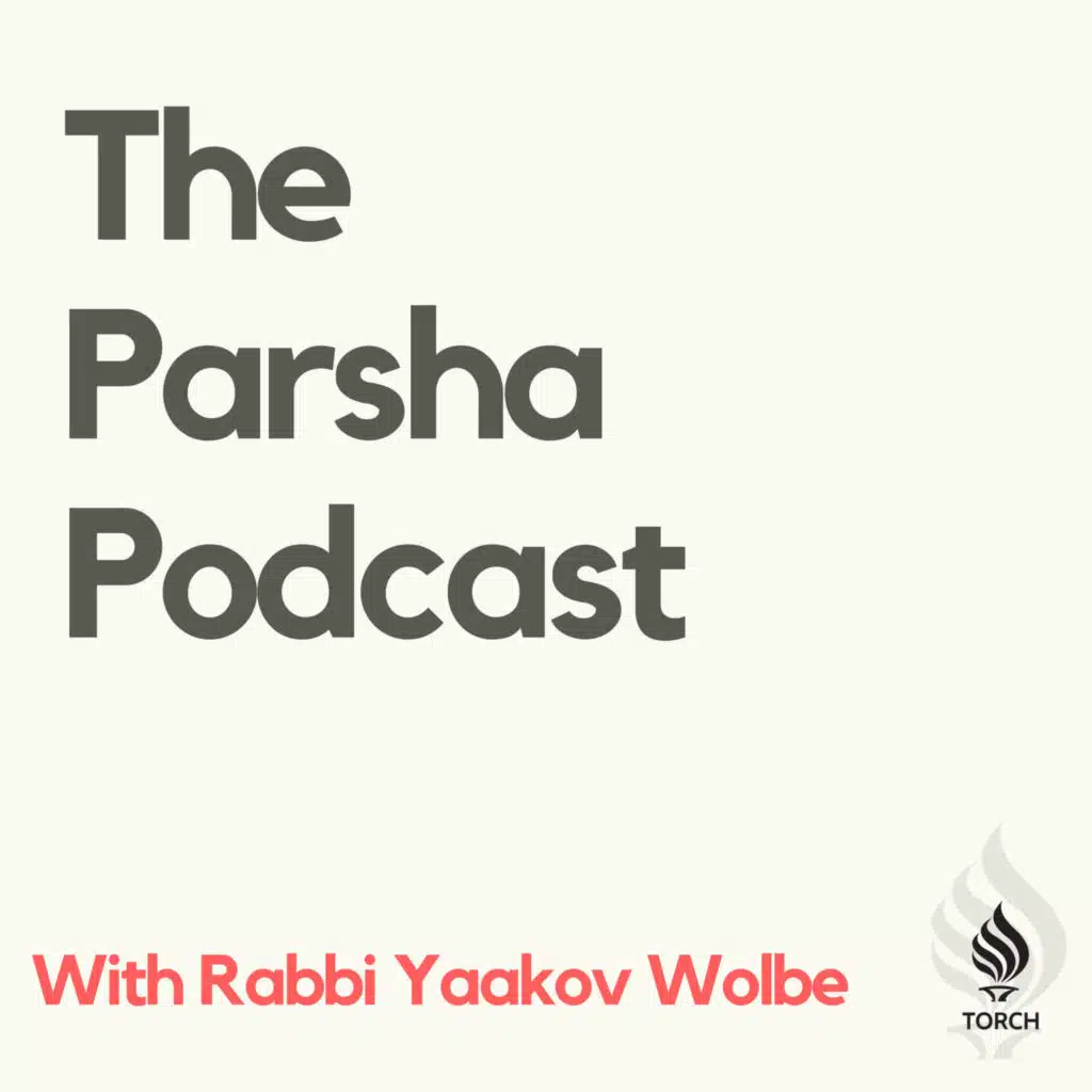 Parshas Haazinu (The Rebroadcast)