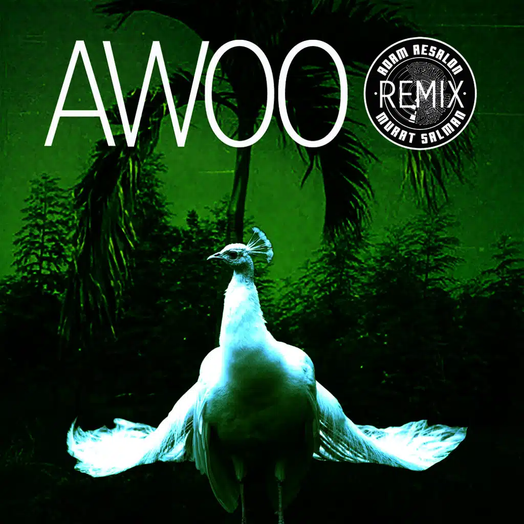 Awoo (Adam Aesalon & Murat Salman Remix) [feat. Betta Lemme]