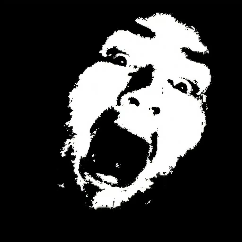 Mellan ljus och mörker