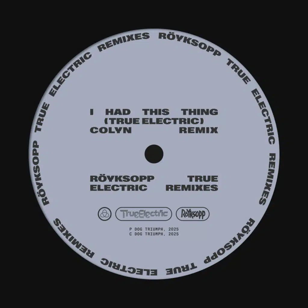 I Had This Thing (Colyn Remix) [feat. Jamie Irrepressible]