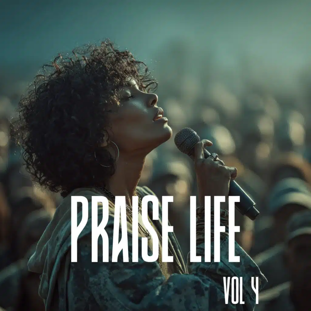 Praise Life, Vol. 4