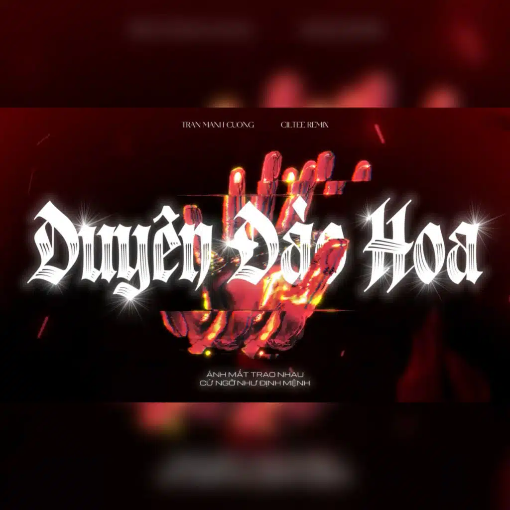 Duyên Đào Hoa (Remix)