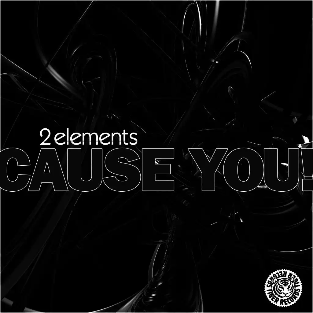 Cause You! (EDM Mix)