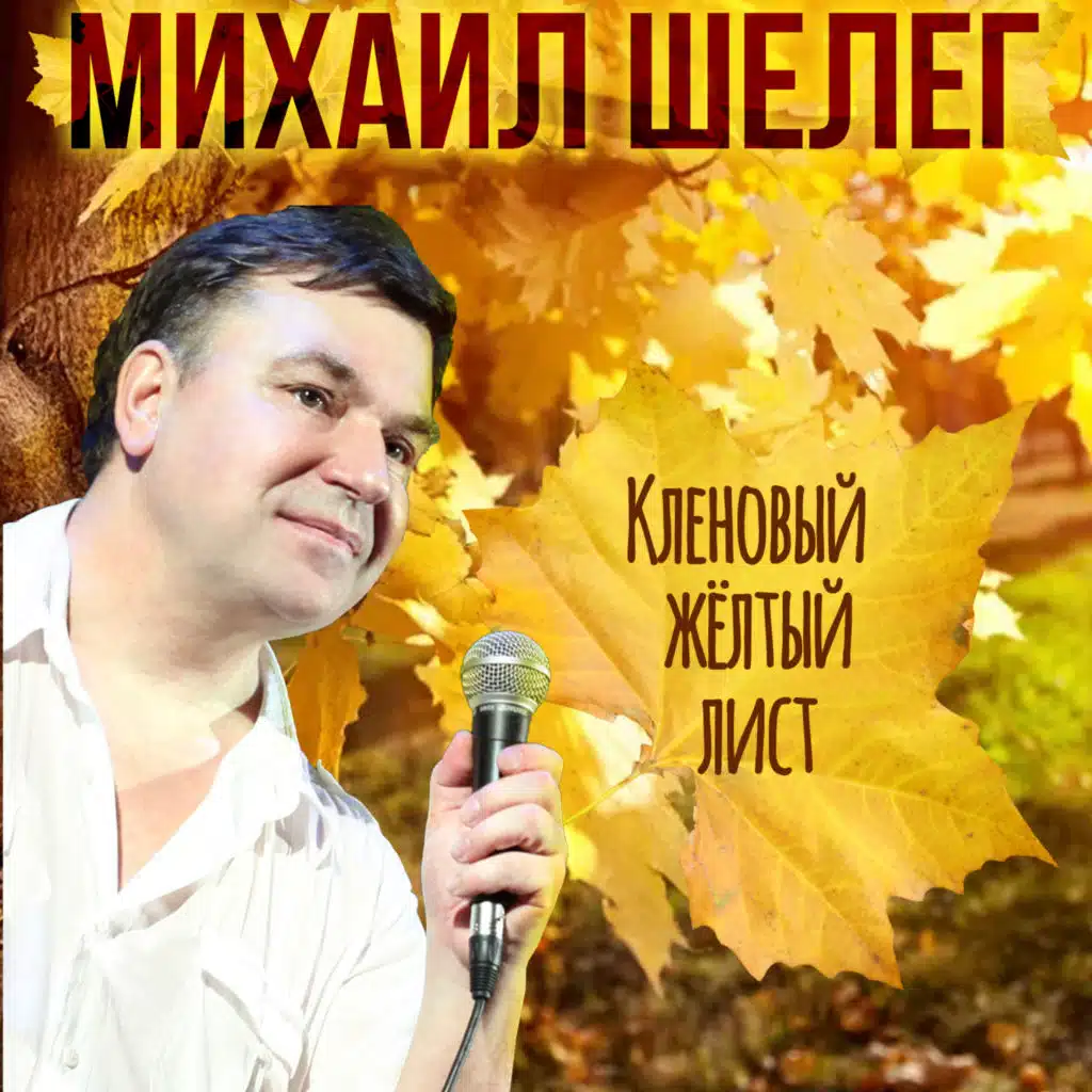 Михаил Шелег