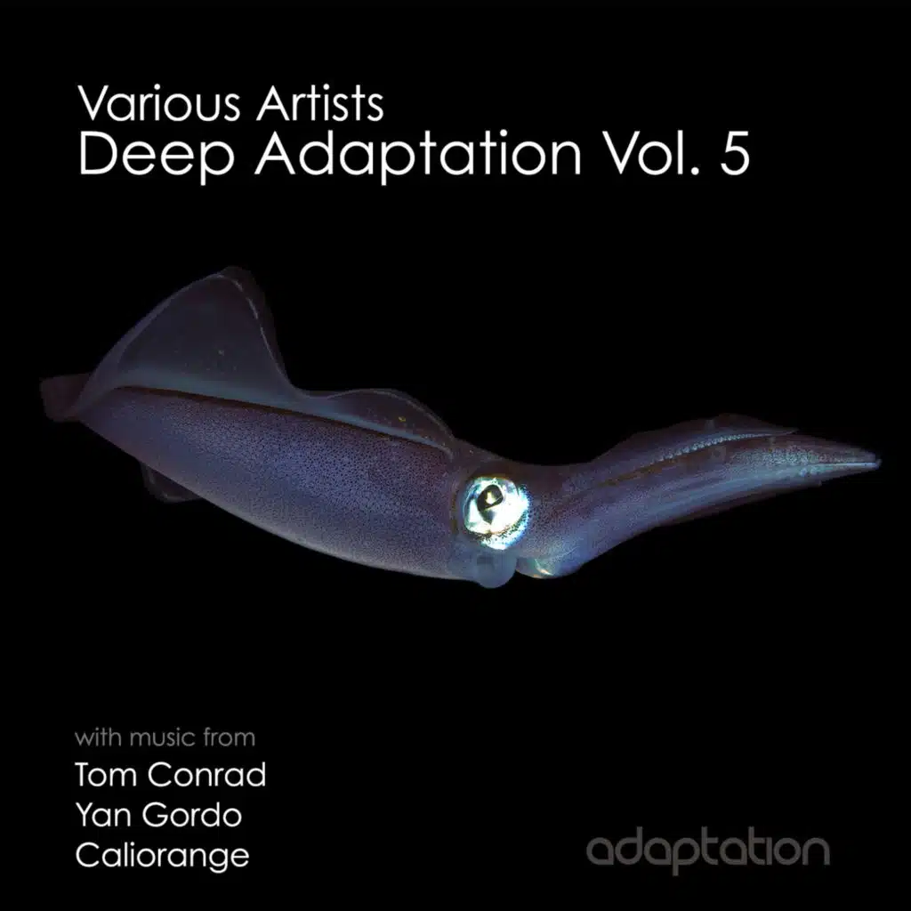 Deep Adaptation, Vol. 5