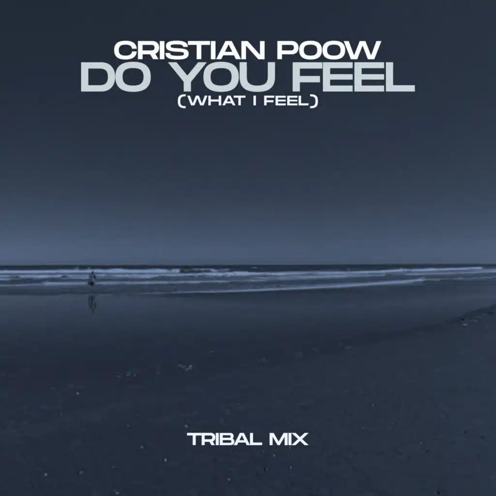 Do You Feel (What I Feel) (Tribal Mix)