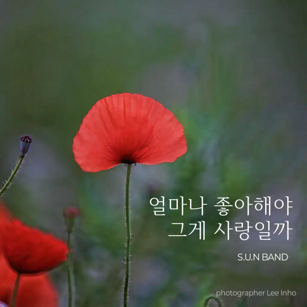 How much do I have to like it to be love