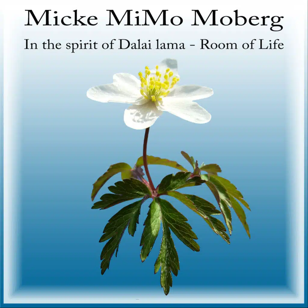 In the Spirit of Dalai Lama - Room of Life