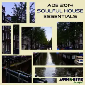 ADE 2014 Soulful House Essentials