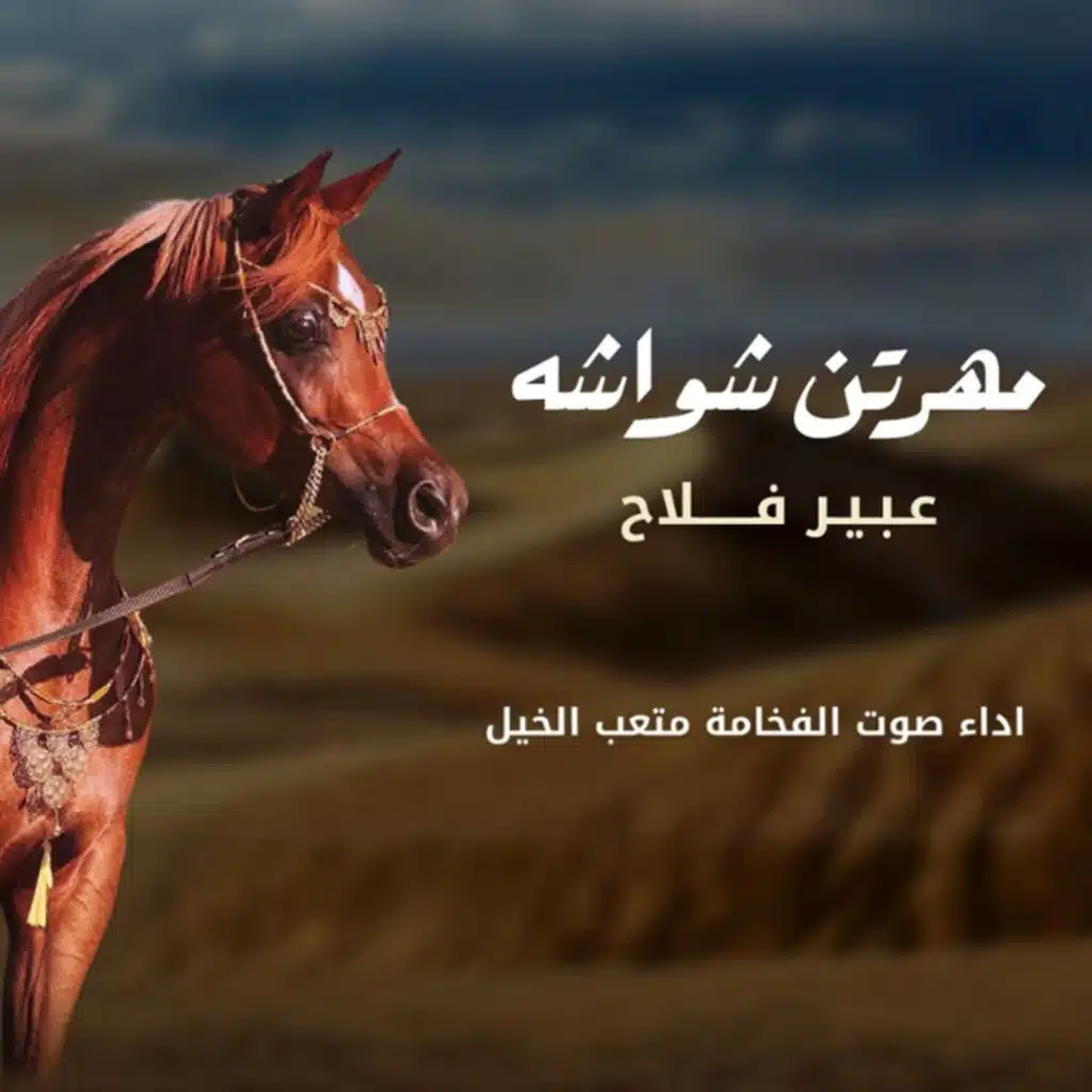 شيلة مهرتن شواشه