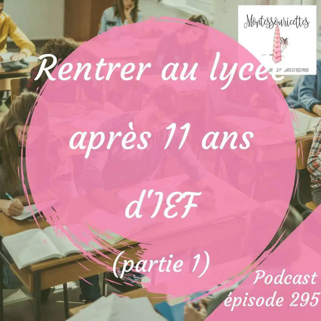 295. Rentrer au lycée après 11 ans d'IEF (partie 1)
